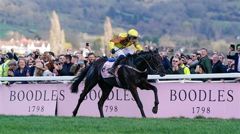 cheltenham gold cup 2023 sweepstakes